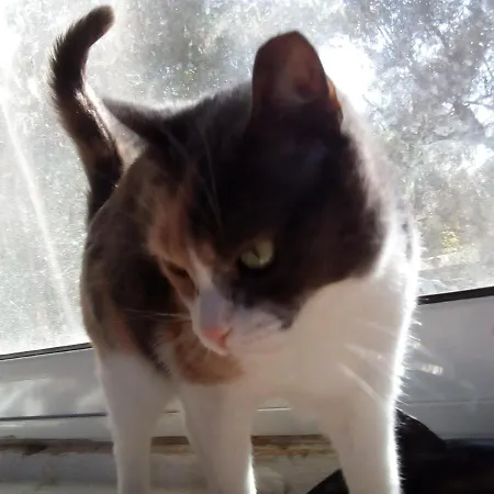 Loft * 케텔리오스