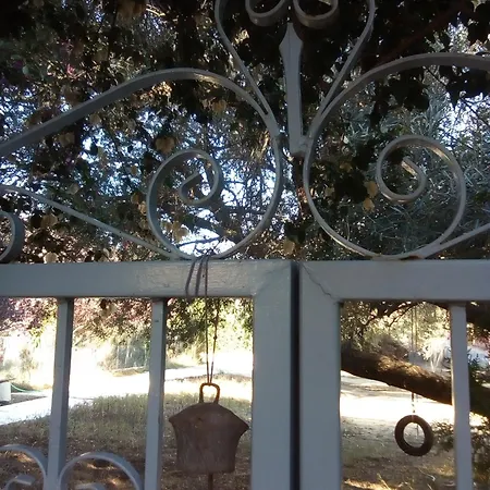 Loft * 케텔리오스