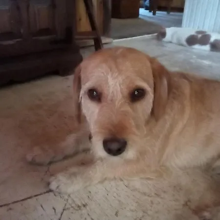 Appartement Loft Katelios