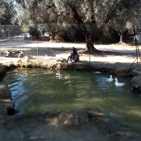 Appartement Loft Katelios