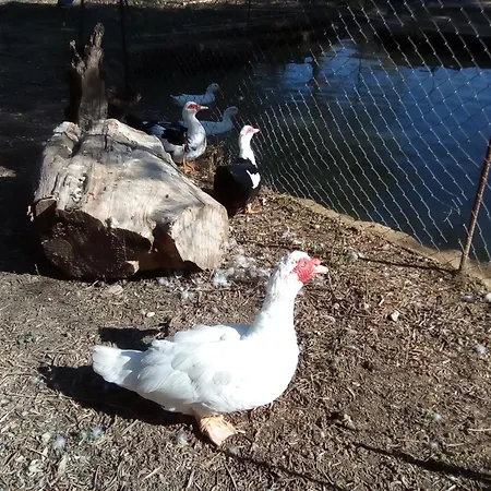 Appartamento Loft Katelios